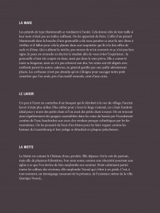 http://www.oliviercharpentier.com/files/gimgs/th-20_Texte planches pour site grisCORRIGE-5.jpg